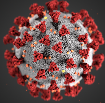 COVID-19 virus
                  